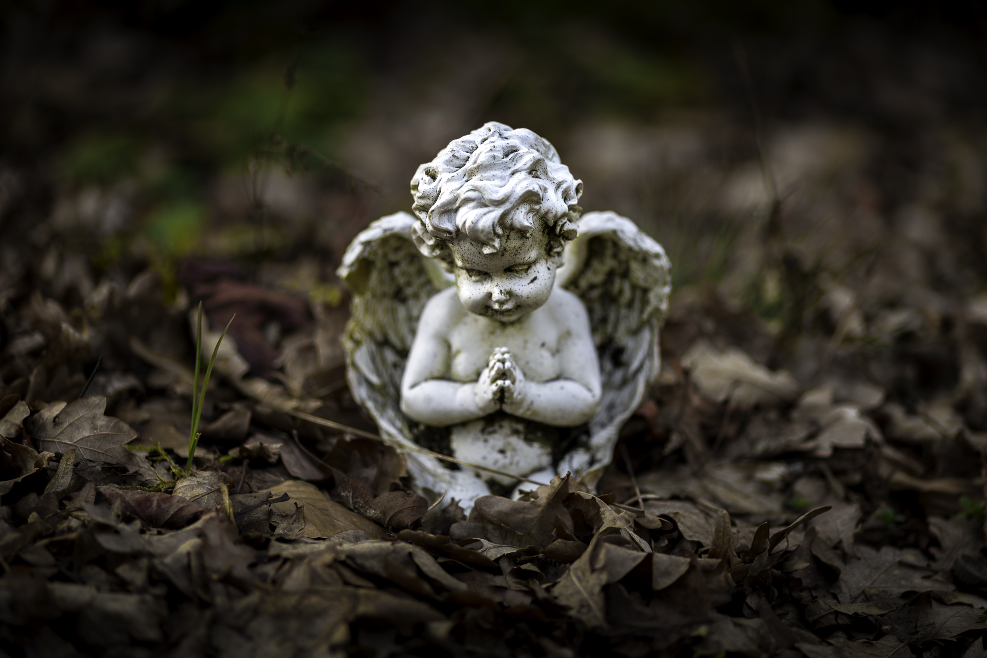 kleiner Engel auf einem Grab | Markus Kniebes